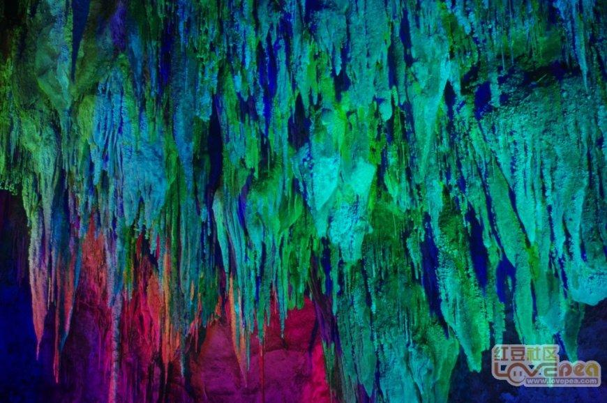 专家评委齐聚海口 研讨教育建筑发展