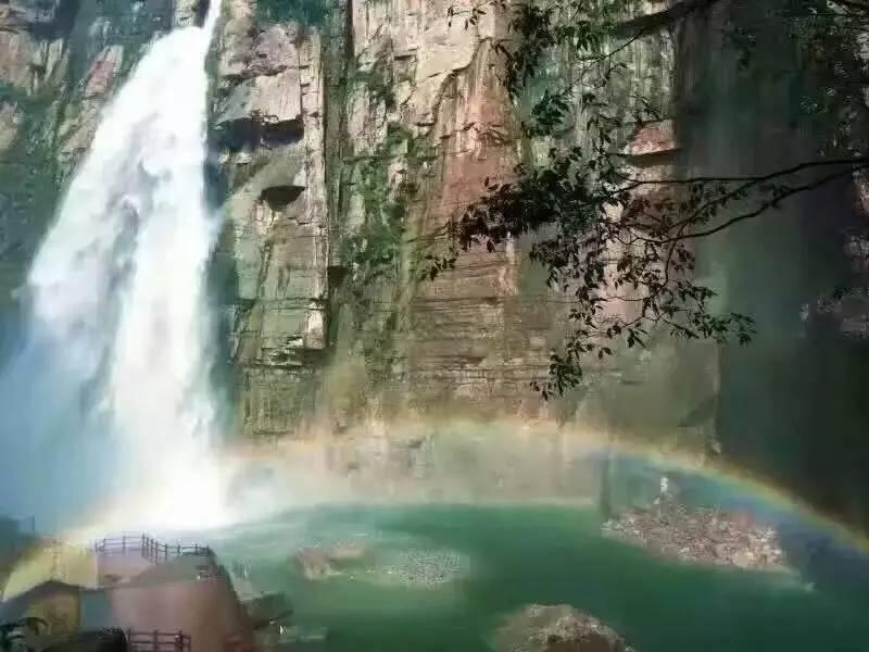 僵尸猎人赏金大赛
