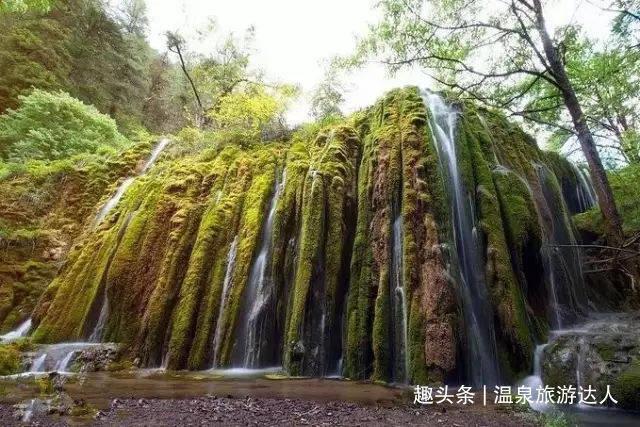 动物帮帮忙保卫家园