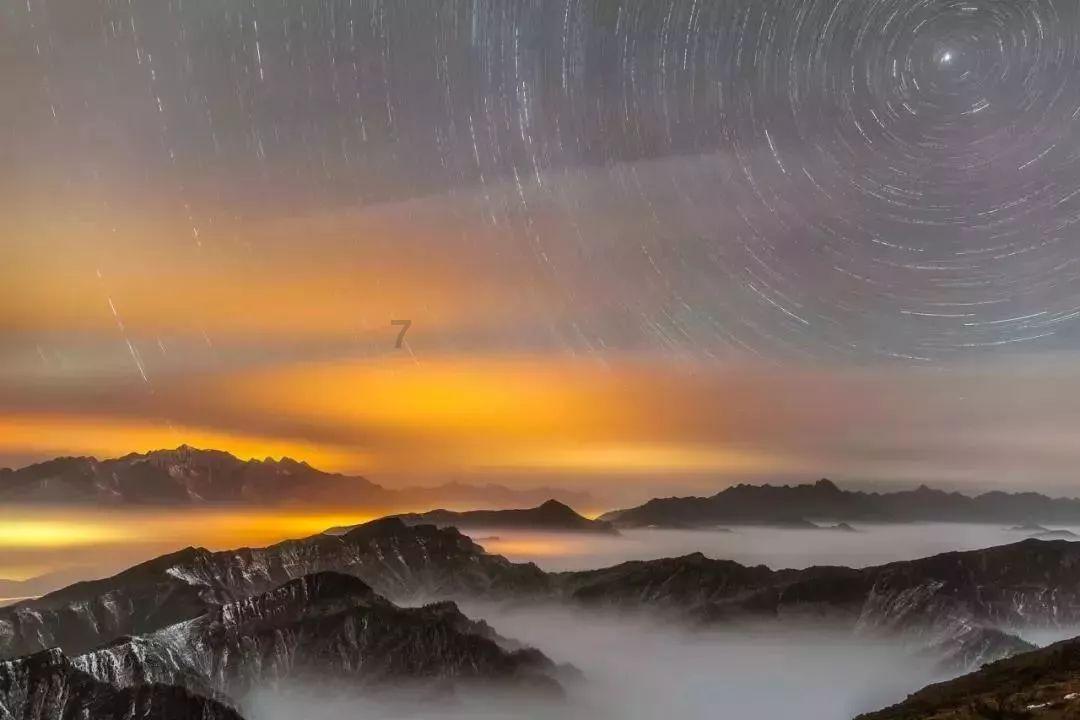 拯救可爱袋鼠