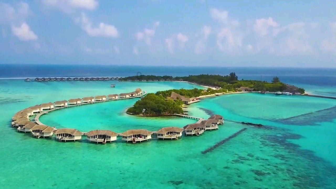我修的可能是假仙