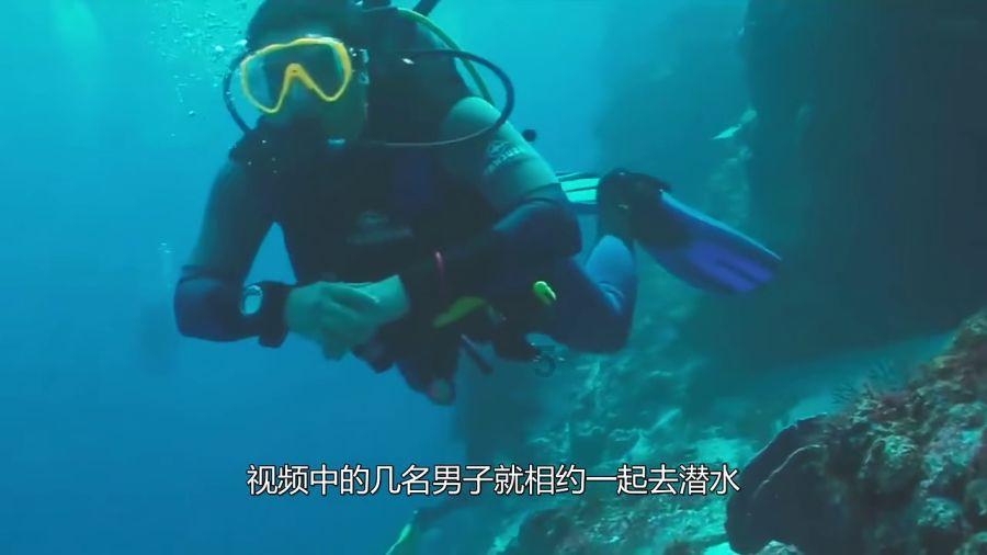 天水嘉伯乐营业面积是多少?-知识星球平台,探索无限智慧之旅