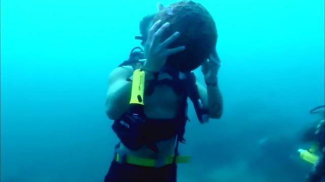 大连天气：阳光连续在岗 气温不断走高
