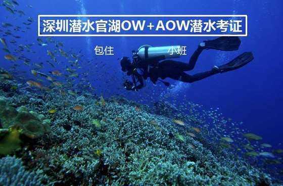 夏季热带海滩逃生