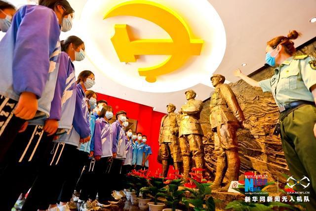 解救金刚鹦鹉