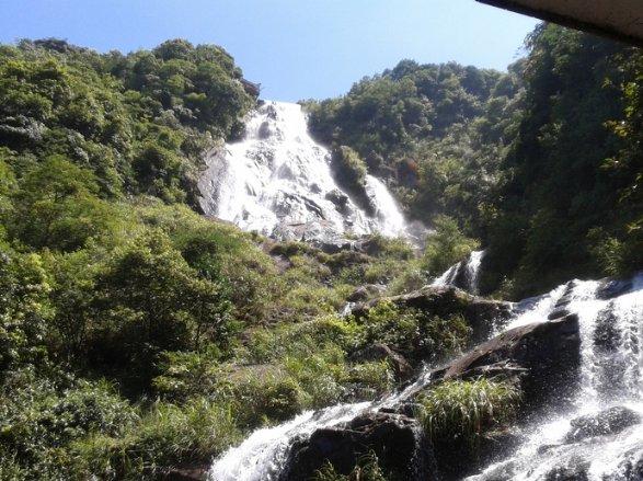 凯莱英：1月29日组织现场参观活动，深圳证券交易所、汇添富基金等多家机构参与
