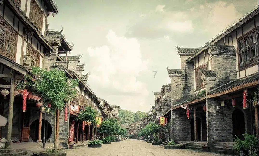 动物帮帮忙保卫家园