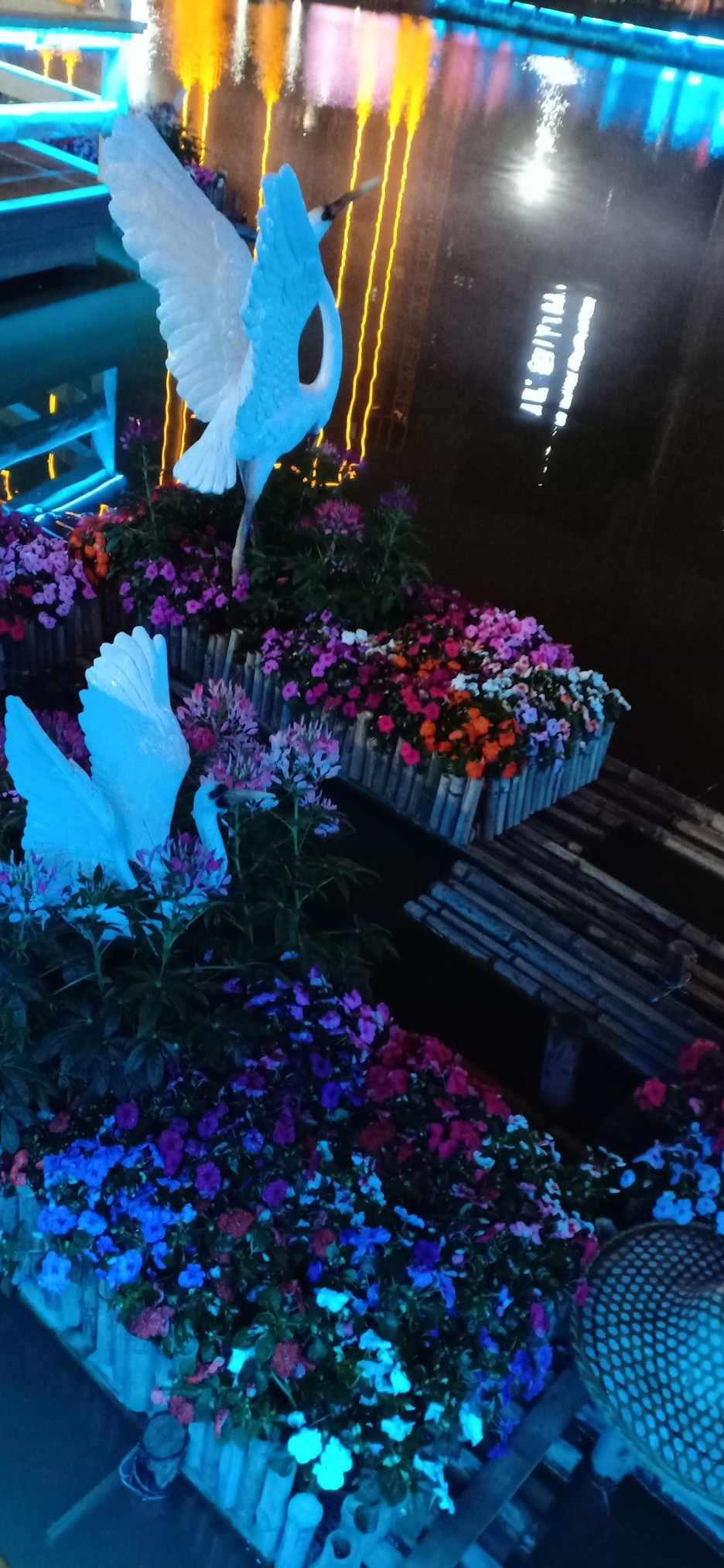 你能逃离此地吗