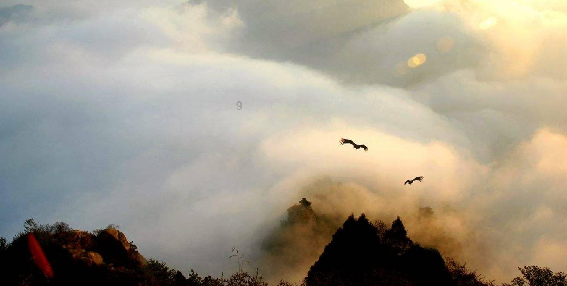 卫浴花洒软管如何安装？安装流程需注意哪些问题呢？游戏画面